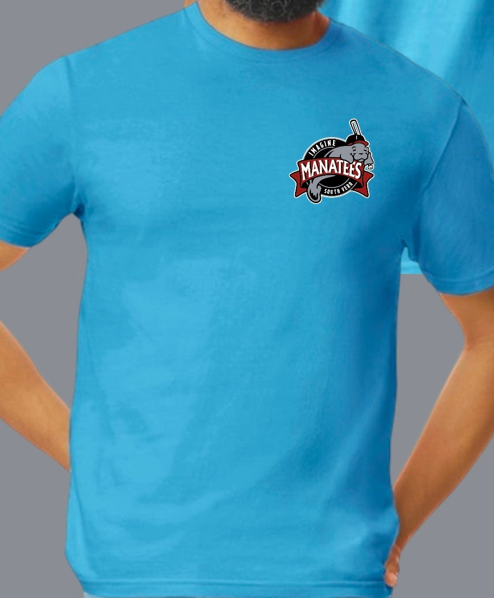 Youth Blue Imagine Diamond Back T shirt